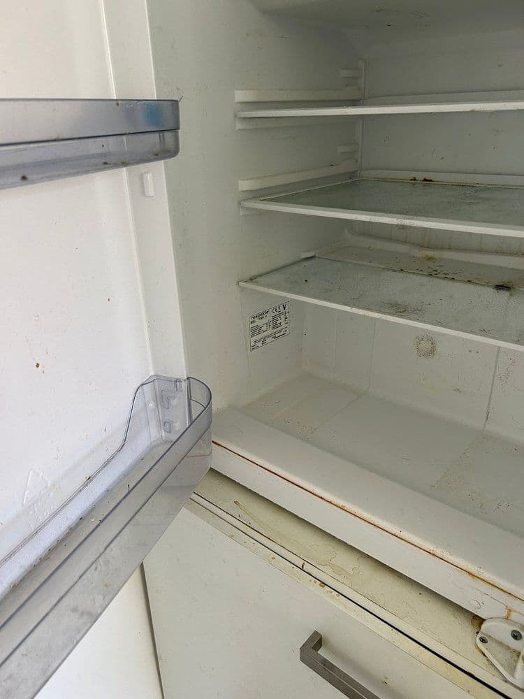 Kühlschrankreinigung vorher