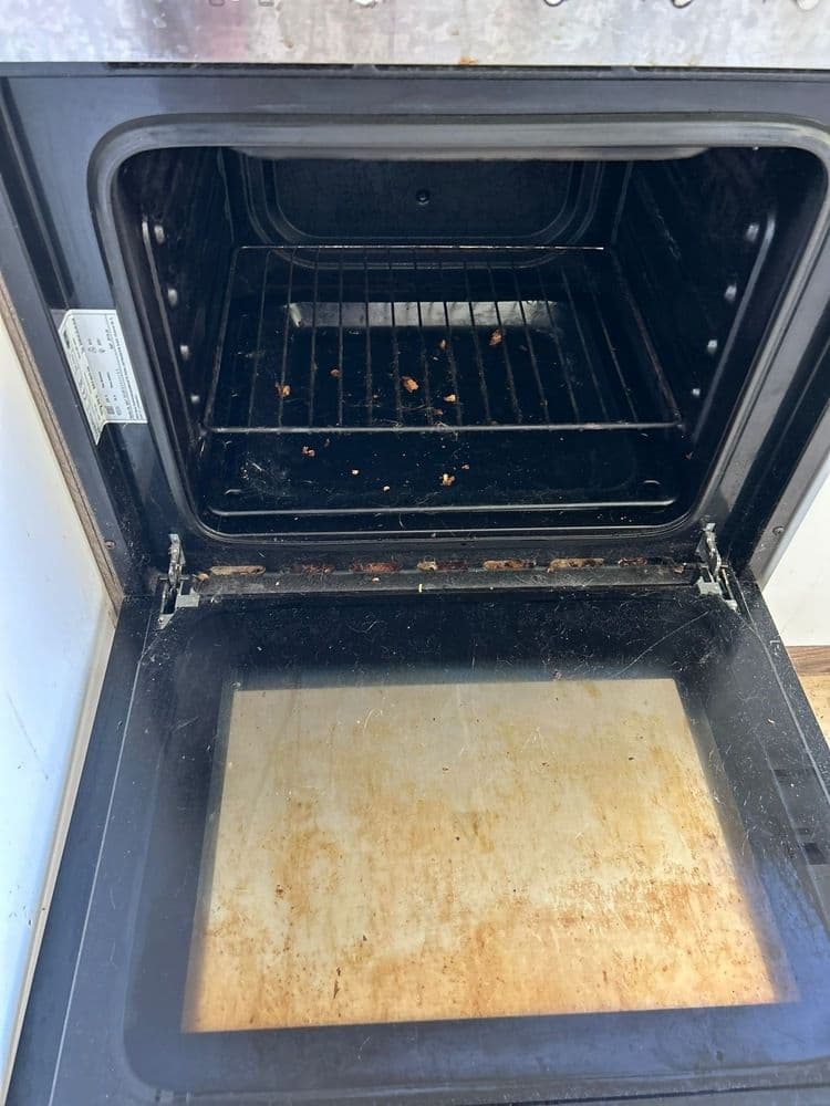 Ofenreinigung vorher